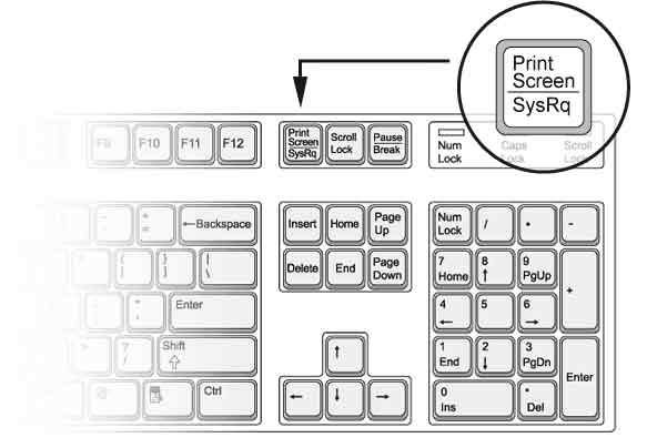Клавиша скриншота / Print Screen на клавиатуре